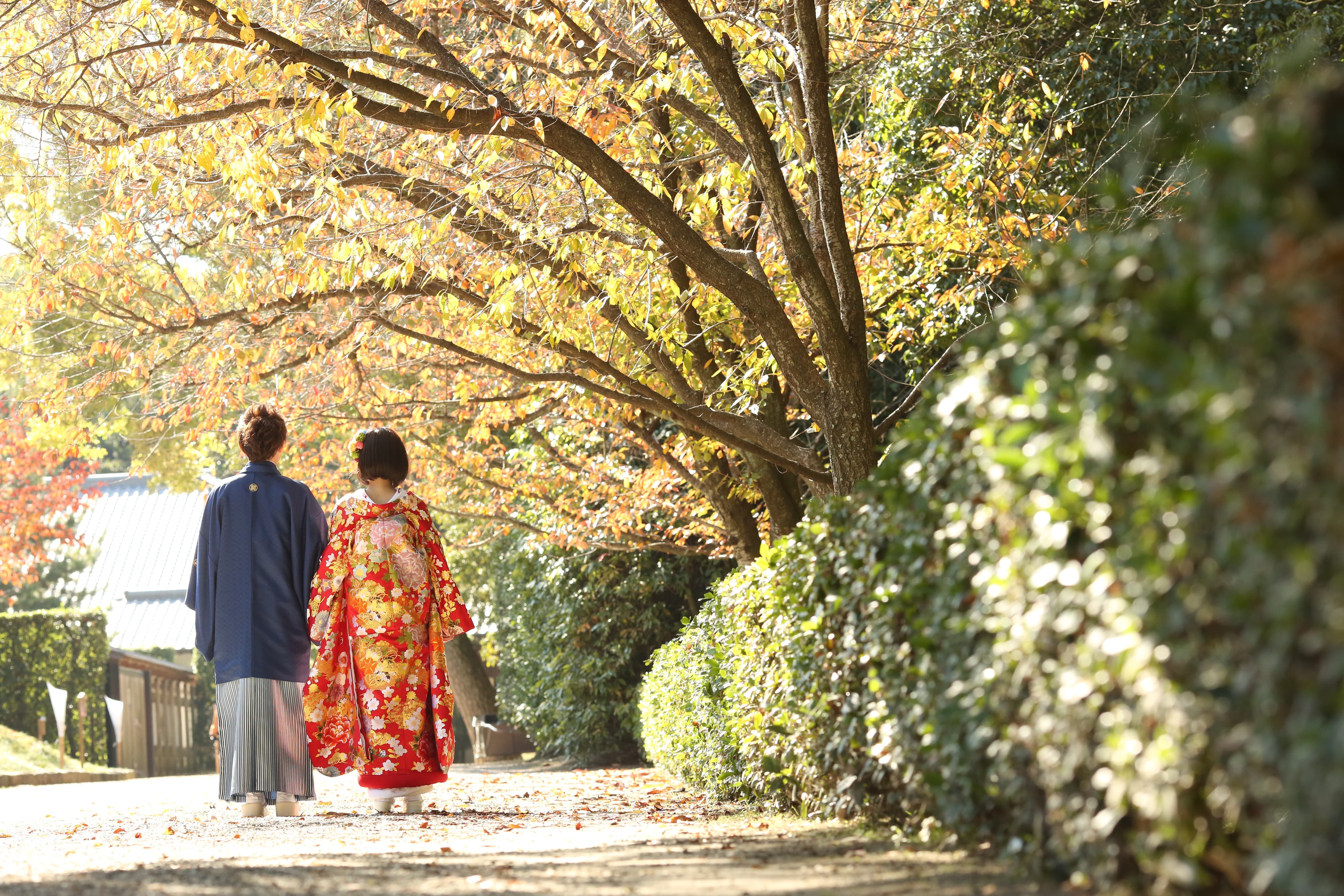 紅葉の中2人で歩く後ろ姿