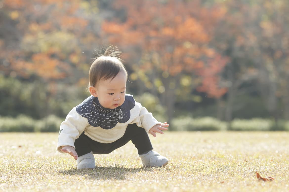 紅葉ロケで一人で立とうとする男の子