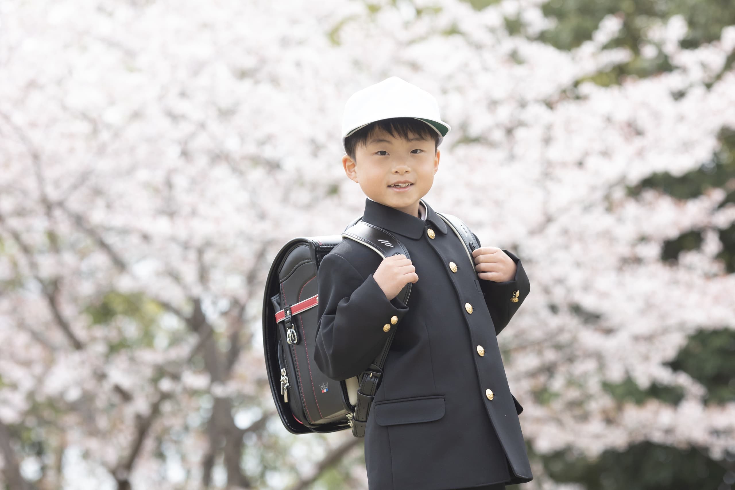 桜の下で入学写真を撮影する小学生